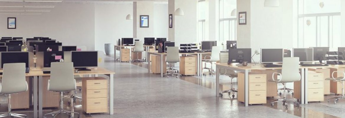 OPUS PAINTING & DECORATNG